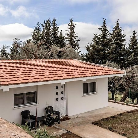 Апартаменты Olive Grove Бар Экстерьер фото